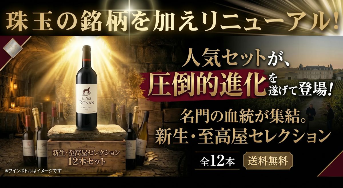 リニューアル赤ワイン12本セット