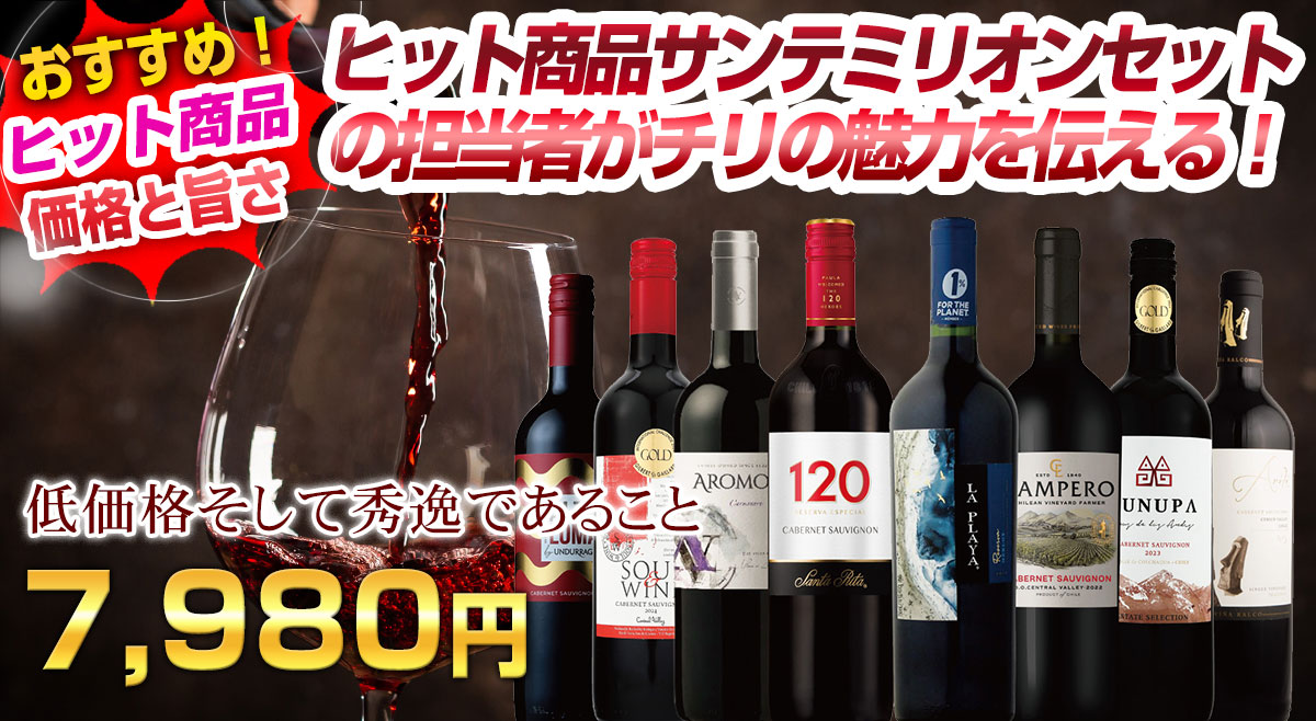 チリワインセット