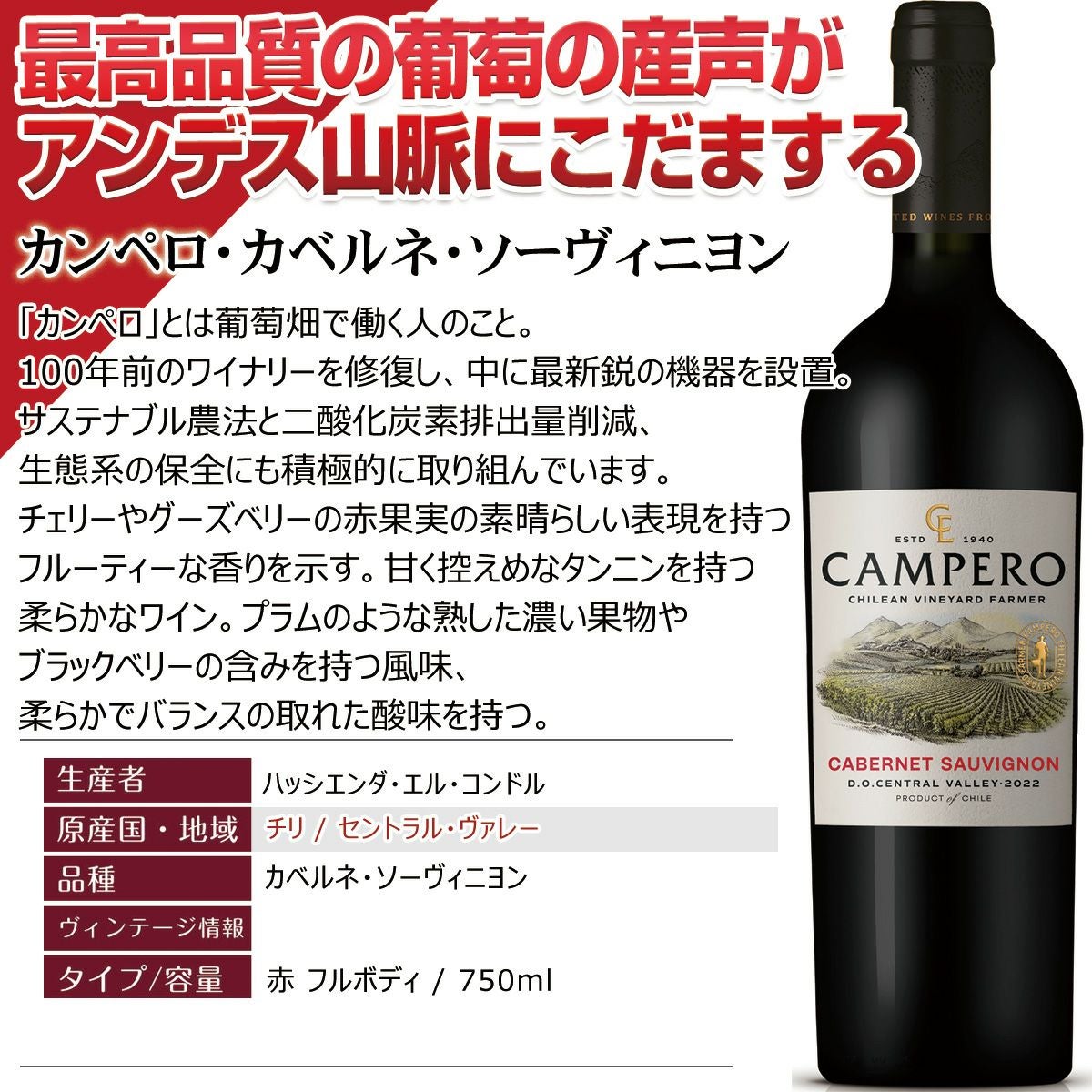ボルドースタッフが厳選 高コスパ チリ】新 赤ワインセットフルボディ