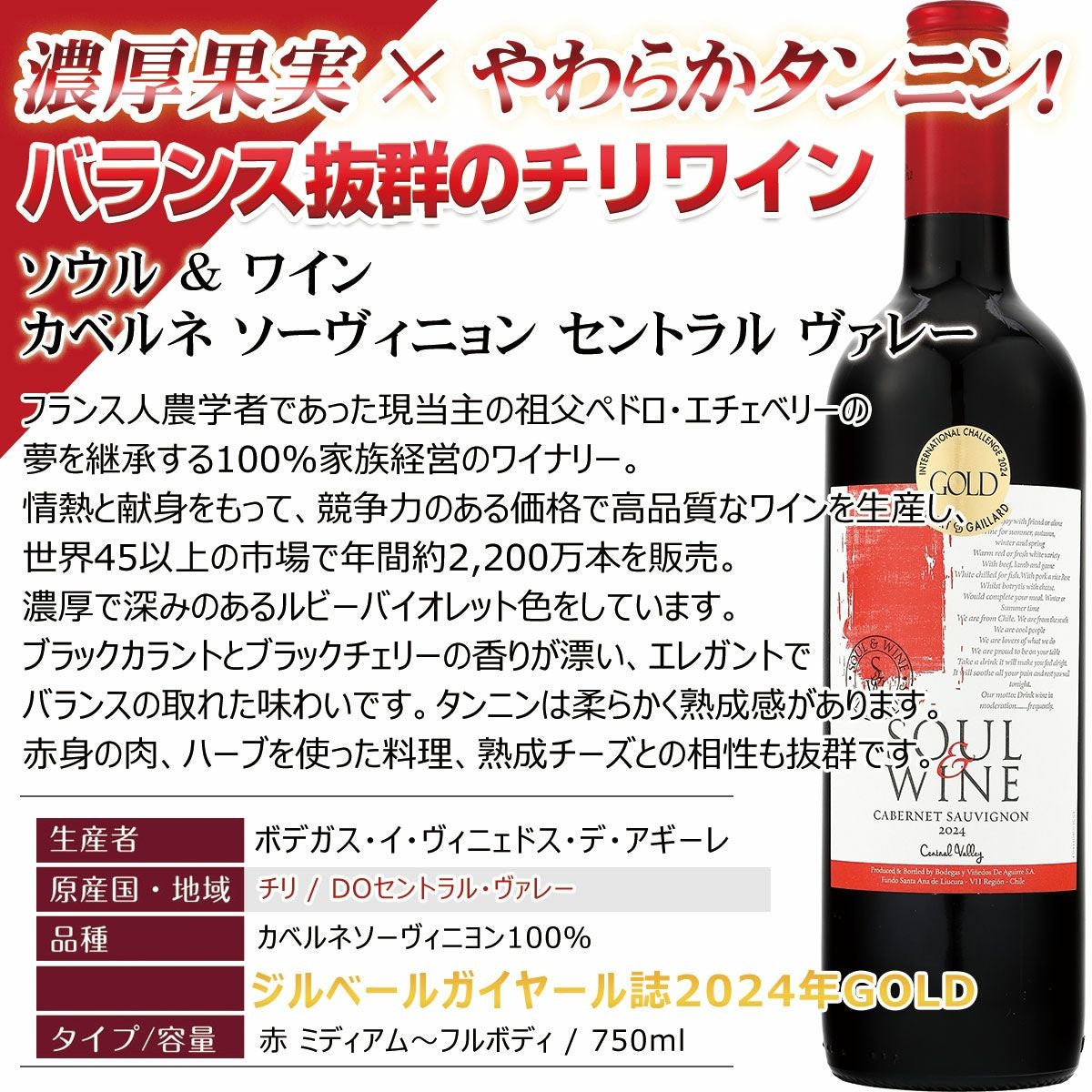 ボルドースタッフが厳選 高コスパ チリ】新 赤ワインセットフルボディ