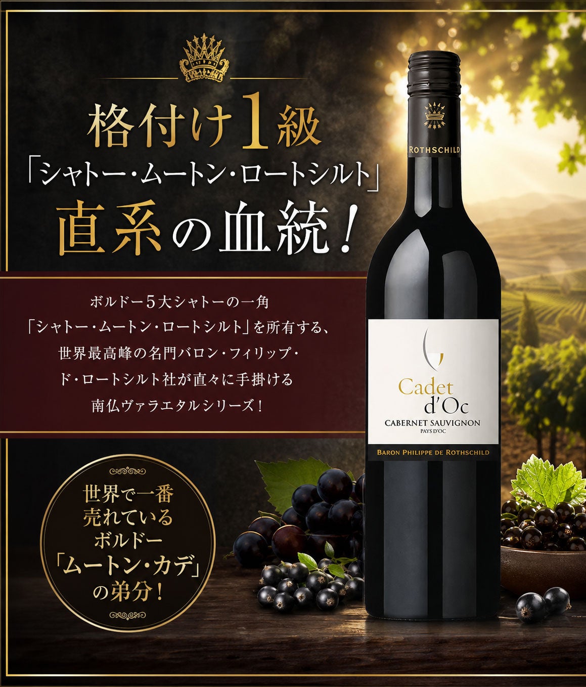 バロン・フィリップ_コンテンツ