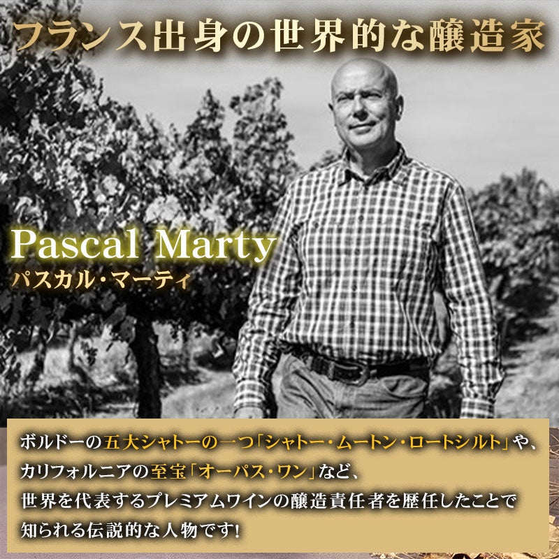 ワイン ギフト 旨い！ オススメ生産者【木箱・手提げ袋付き】 赤ワイン