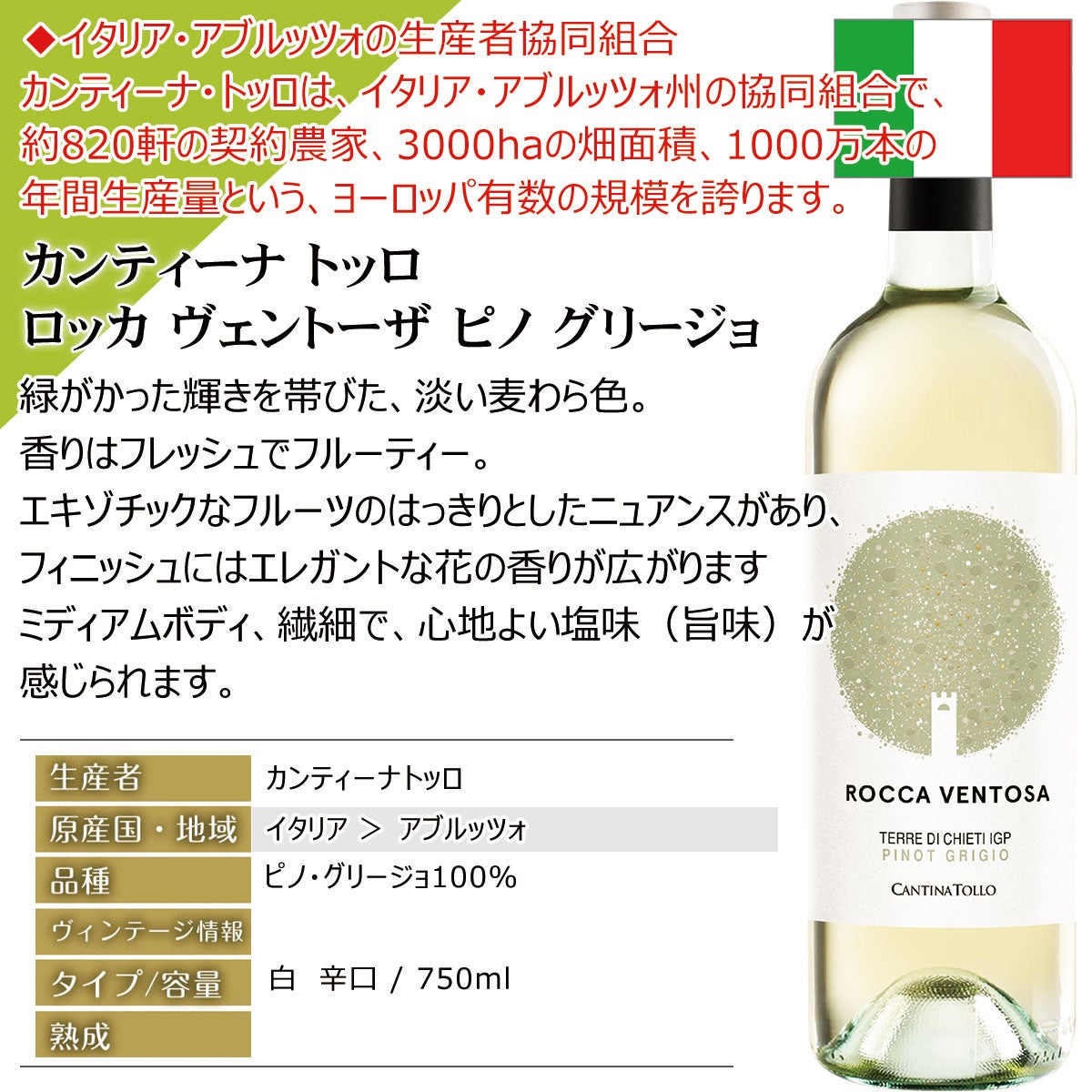 還元セット！【人気セット】世界の白ワインセット 厳選そしてお手頃 白