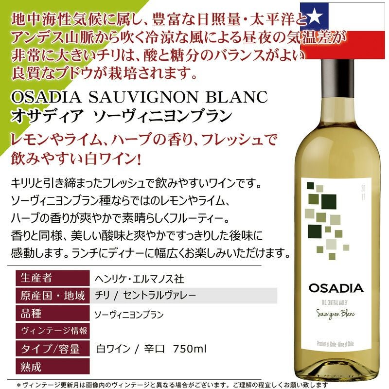 還元セット！【人気セット】世界の白ワインセット 厳選そしてお手頃 白