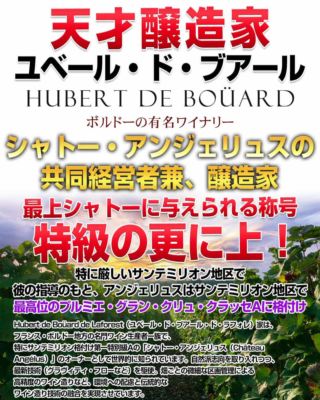 特別取引が実現！【3,300円→40％オフ！→1,980円！驚愕の現地